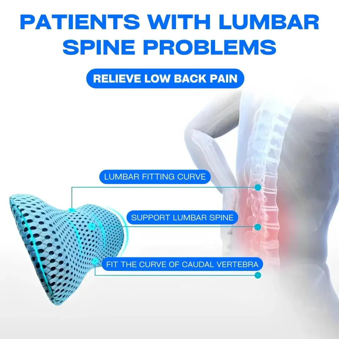 Snuffly® Lumbar Support Pillow