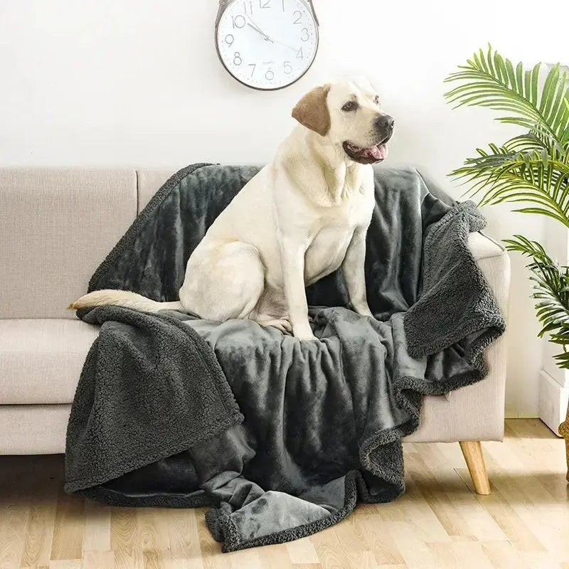 Snuffly® Bond Blanket