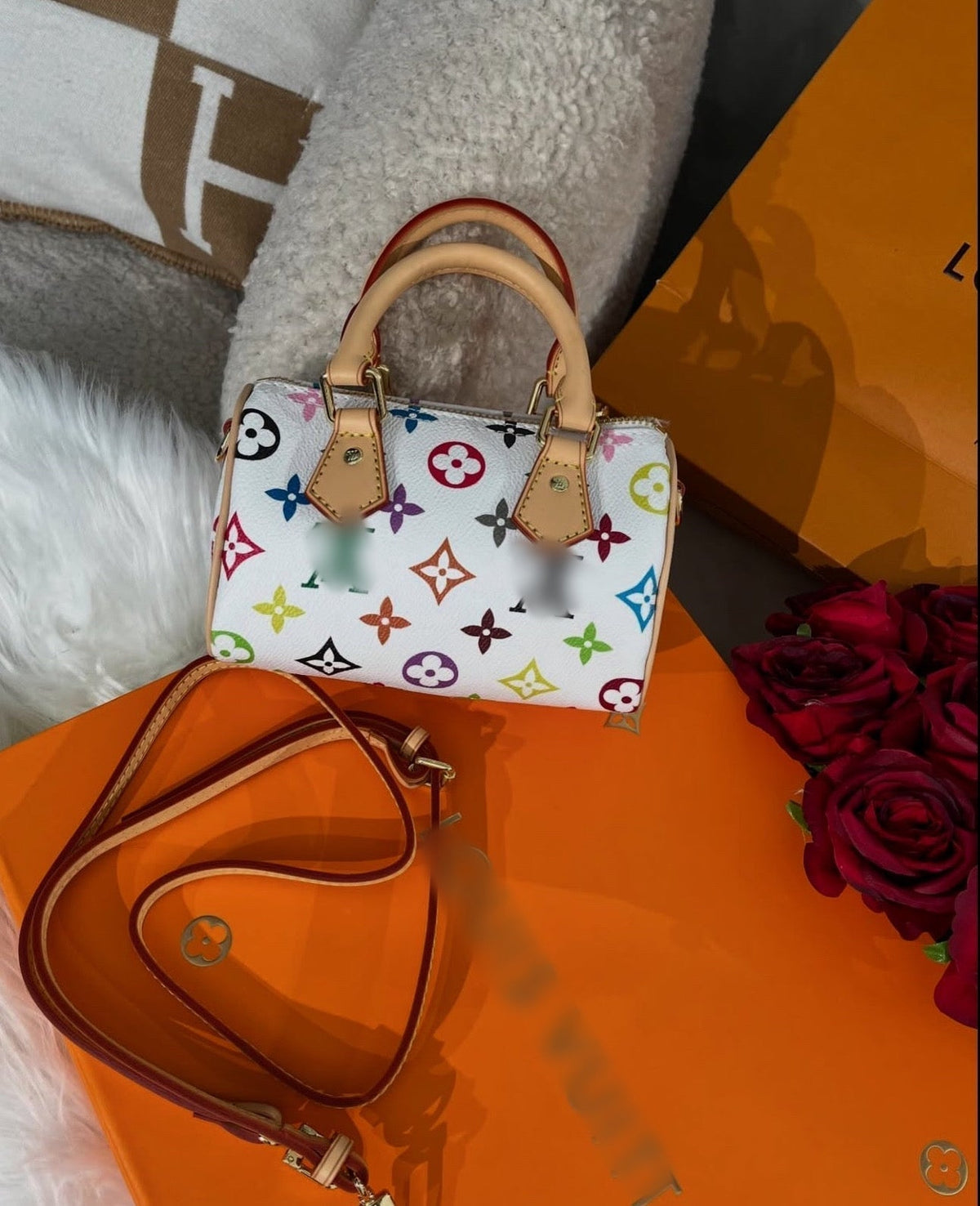 LV mini speedy multicolor